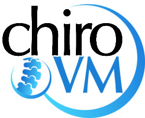 LOGO VM 1 300x245